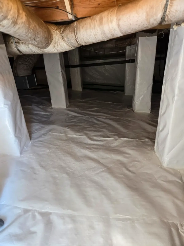 Home Improvement
